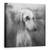 Tablou Canvas - Toamna, Marime: 60 x 60 cm - - Roveli