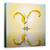Tablou Canvas - Tu Si Eu, Marime: 60 x 60 cm - - Roveli