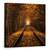 Tablou Canvas - Tunelul Toamnei, Marime: 60 x 60 cm - - Roveli
