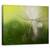 Tablou Canvas - Umbre In Verde, Marime: 40 x 50 cm - - Roveli