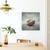 Tablou Canvas - Viata Presupune Echilibru, Marime: 60 x 60 cm - 4- Roveli