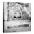 Tablou Canvas - Ziua In Care Am Sarit In Balti, Marime: 60 x 60 cm - - Roveli