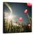 Tablou Canvas - A Venit Vara, Marime: 60 x 60 cm - - Roveli