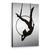Tablou Canvas - Aerialistul, Marime: 40 x 60 cm - - Roveli