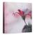 Tablou Canvas - Atingere Invizibila, Marime: 60 x 60 cm - - Roveli