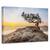 Tablou Canvas - Batranul Pin, Marime: 40 x 60 cm - - Roveli