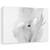 Tablou Canvas - Bobbi Si Palaria Ei, Marime: 40 x 60 cm - - Roveli