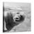 Tablou Canvas - Bule, Marime: 60 x 60 cm - - Roveli