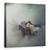 Tablou Canvas - Caii Pierduti, Marime: 60 x 60 cm - - Roveli