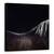 Tablou Canvas - Calul Gol, Marime: 60 x 60 cm - - Roveli