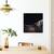 Tablou Canvas - Calul Gol, Marime: 60 x 60 cm - 4- Roveli