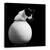 Tablou Canvas - Chanel, Marime: 60 x 60 cm - - Roveli