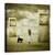 Tablou Canvas - Cheia Schelet, Marime: 60 x 60 cm - - Roveli