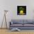 Tablou Canvas - Fenicul, Marime: 60 x 60 cm - 2- Roveli