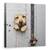 Tablou Canvas - Fereastra Lui Benji, Marime: 60 x 60 cm - - Roveli
