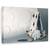 Tablou Canvas - Gaura Iepurelui, Marime: 40 x 60 cm - - Roveli