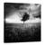 Tablou Canvas - Iluzia Unei Primaveri Pierdute, Marime: 60 x 60 cm - - Roveli