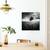 Tablou Canvas - Iluzia Unei Primaveri Pierdute, Marime: 60 x 60 cm - 4- Roveli
