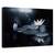 Tablou Canvas - Reflectie, Marime: 40 x 60 cm - - Roveli