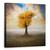 Tablou Canvas - Singuratic, Marime: 60 x 60 cm - - Roveli