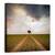 Tablou Canvas - Un Copac, Marime: 60 x 60 cm - - Roveli