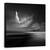 Tablou Canvas - Vedere La Malul Marii, Marime: 60 x 60 cm - - Roveli