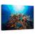 Tablou Canvas - Apnee, Marime: 40 x 60 cm - - Roveli