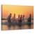 Tablou Canvas - Apus De Soare In Camargue, Marime: 40 x 60 cm - - Roveli