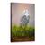 Tablou Canvas - Bufnita De Zapada, Marime: 40 x 60 cm - - Roveli