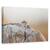 Tablou Canvas - Bufnita Mica, Marime: 40 x 60 cm - - Roveli