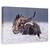 Tablou Canvas - Dansand In Zapada, Marime: 40 x 60 cm - - Roveli