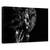 Tablou Canvas - Intre Lumini Si Umbre, Marime: 40 x 60 cm - - Roveli