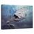 Tablou Canvas - Nava Sperantei, Marime: 40 x 60 cm - - Roveli