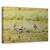 Tablou Canvas - Vanatoare, Marime: 40 x 60 cm - - Roveli