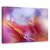 Tablou Canvas - Dans In Lumina, Marime: 40 x 60 cm - - Roveli