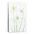 Tablou Canvas - Galanthus Flore Pleno, Marime: 40 x 60 cm - - Roveli