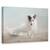 Tablou Canvas - Iesind Din Furtuna, Marime: 40 x 60 cm - - Roveli