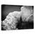 Tablou Canvas - Imbratisand Farul, Marime: 40 x 60 cm - - Roveli