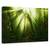 Tablou Canvas - Miracolul, Marime: 40 x 60 cm - - Roveli