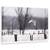 Tablou Canvas - O Bufnita De Zapada, Marime: 40 x 60 cm - - Roveli