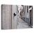 Tablou Canvas - Pisica Din Strada, Marime: 40 x 60 cm - - Roveli