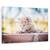 Tablou Canvas - Pisica, Marime: 40 x 60 cm - - Roveli