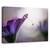 Tablou Canvas - Ploaie Purpurie, Marime: 40 x 60 cm - - Roveli