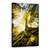 Tablou Canvas - Ramas Bun De La O Frunza, Marime: 40 x 60 cm - - Roveli