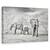 Tablou Canvas - Sezon Uscat, Marime: 40 x 60 cm - - Roveli