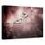 Tablou Canvas - Stiglitz, Marime: 40 x 60 cm - - Roveli