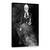 Tablou Canvas - Thanatos, Marime: 40 x 60 cm - - Roveli