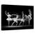 Tablou Canvas - Balerine, Marime: 40 x 60 cm - - Roveli
