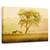 Tablou Canvas - Caii De Aur, Marime: 40 x 60 cm - - Roveli