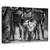 Tablou Canvas - Cainele, Marime: 40 x 60 cm - - Roveli